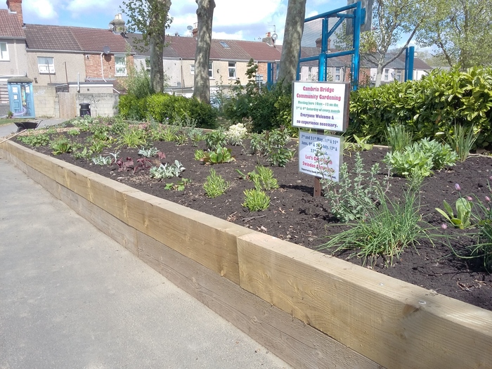 Plants are placed on the large raised wooden flower bed ready for planting
