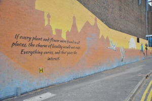 Town centre mural focused on the quote from Richard Jefferies: 'If every plant and flower were found in all places, the charm of locality would not exist. Everything varies and that gives interest'