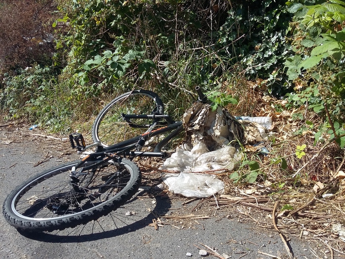 Dumped bike