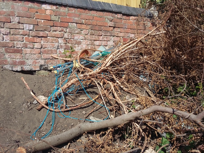 Dumped rope, green waste, and other litter