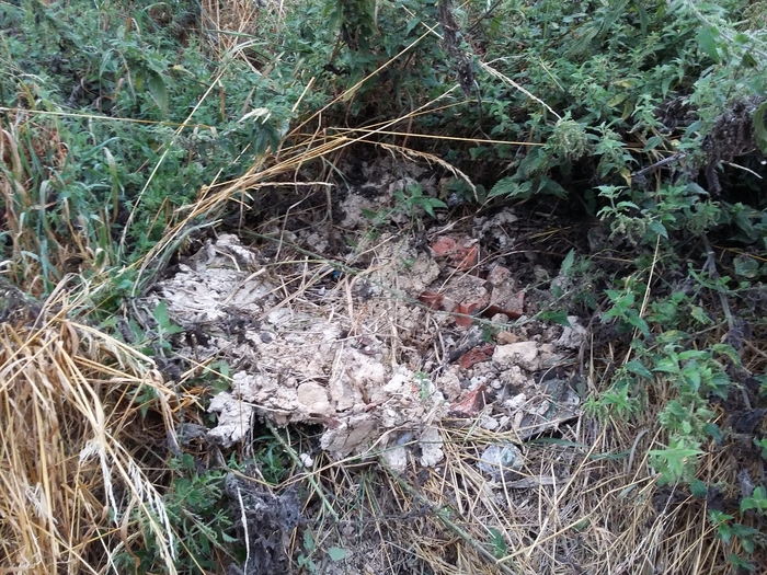 Bricks and concrete dumped on the bank