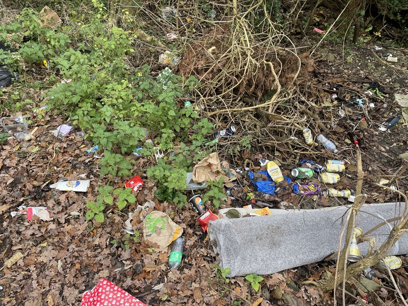 Vast amount of litter in woodland