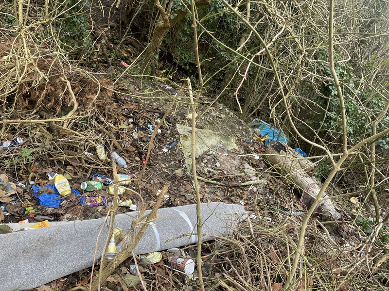 Litter and fly-tipping in woodland