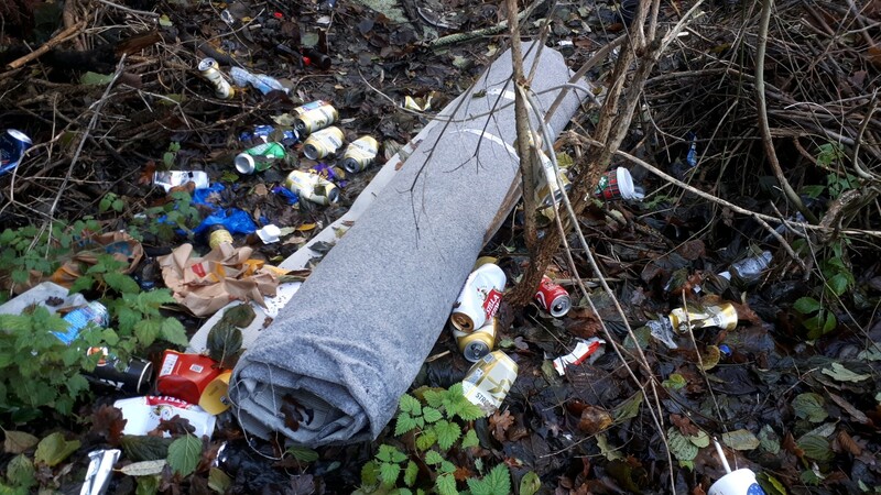 Litter and fly-tipping in woodland