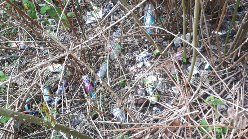 Litter in woodland, especially cans and bottles