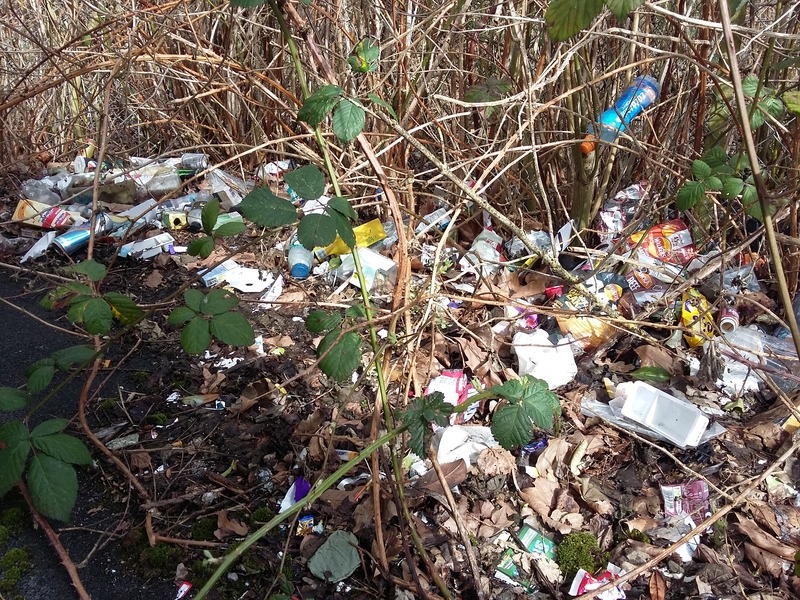 Vast litter behind a bus stop