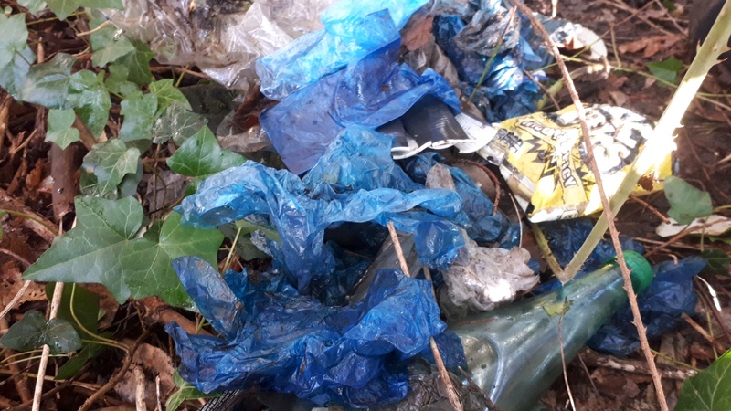 Littered blue plastic gloves