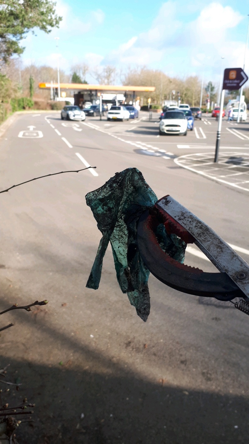 Blue plastic glove held up by litter picker outside petrol station