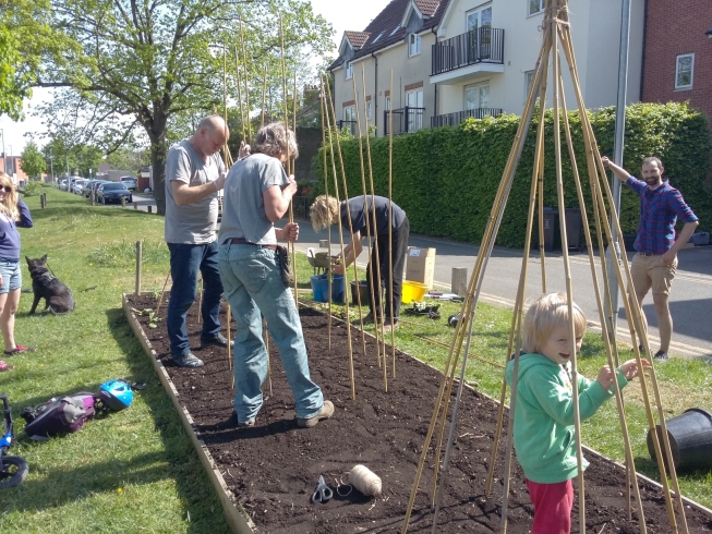 Putting bean poles in the ground