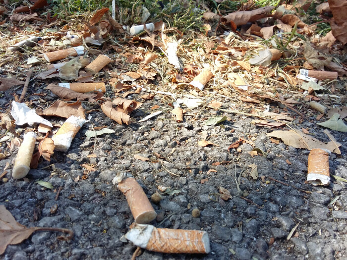 Littered cigarettes on grass / concrete