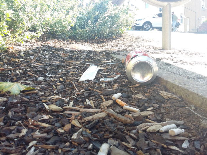 Littered cigarettes in a raised flower bed
