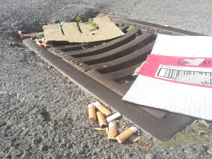 Littered cigarettes by a street drain.  Cardboard is also littered.