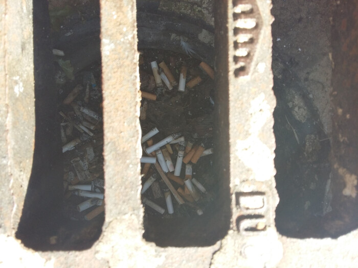 Littered cigarettes at the bottom of a street drain