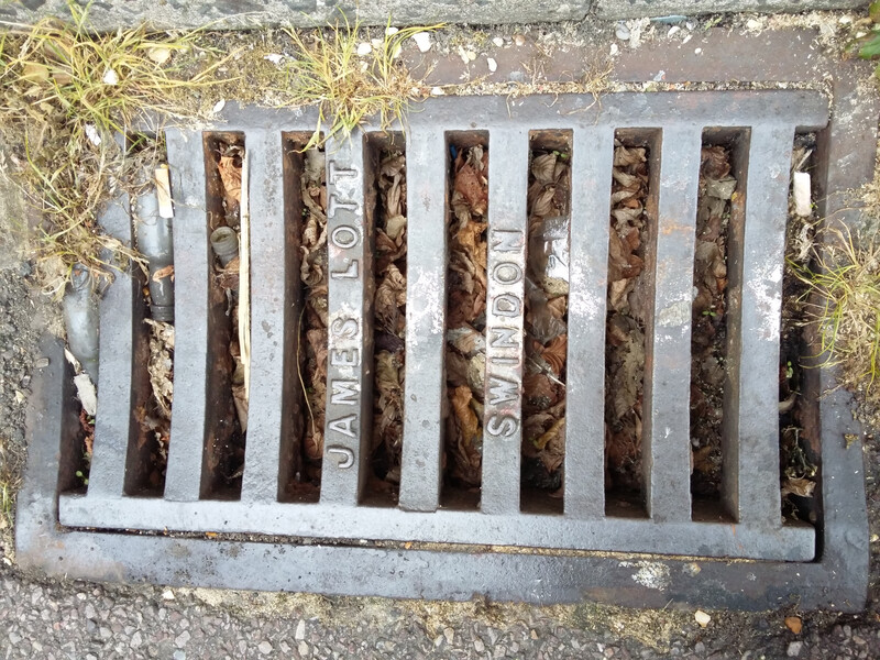 Drain blocked with leaves