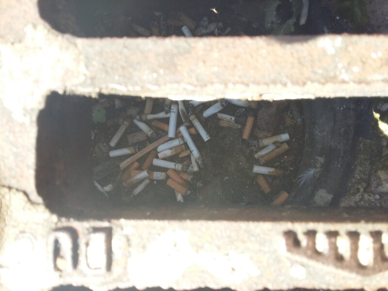 Blocked drain containing many cigarette butts