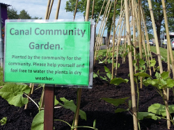 A sign reads, 'Canal Community Garden.  Planted by the community for the community.  Please help yourself and feel free to water the plants in dry weather.'  The sign is erected in a raised flower bed with beans just starting to grow around poles.