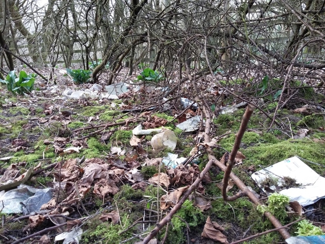 Vast amounts of plastic litter in woodland