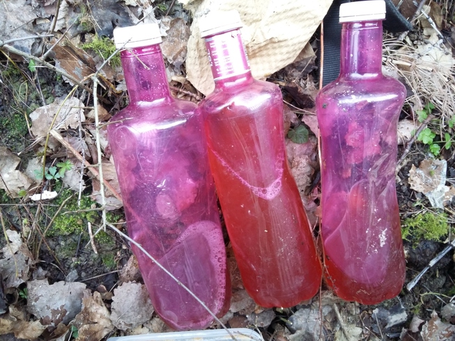 3 littered bottles of urine