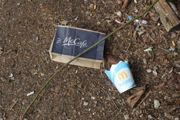 McDonalds packaging littered on an area of soil