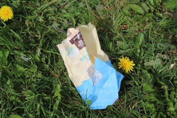 Supermarket sandwich packaging littered	on grass