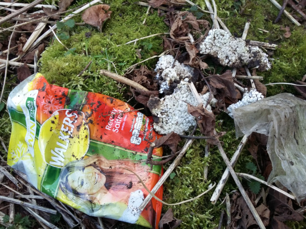 Littered Walkers crip packet surrounded by moss