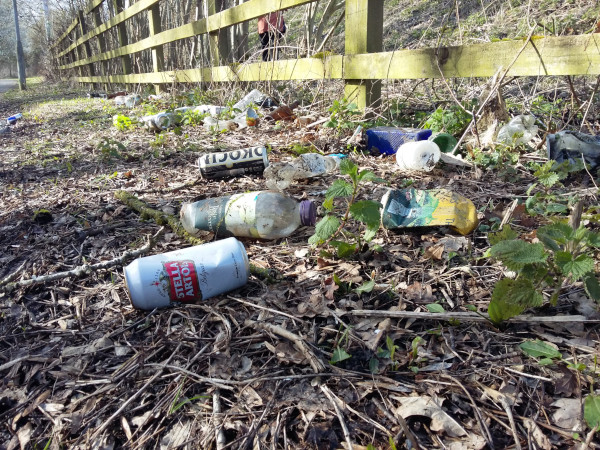 Littered lager and cider cans by a fence and footpath