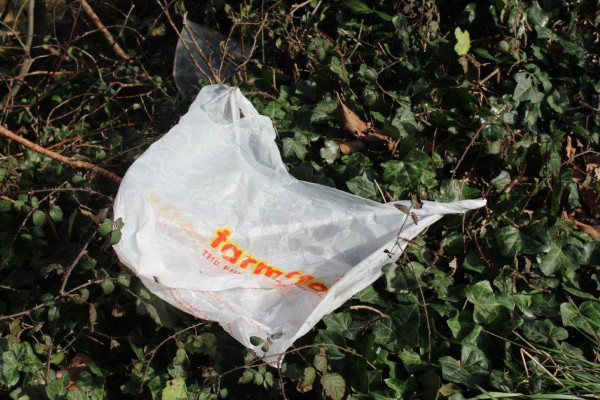 A Farmfoods plastic bag littered in a bush
