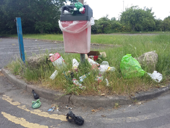 A small bin is overflowing.  Litter is in the long grass and on the concrete around it.