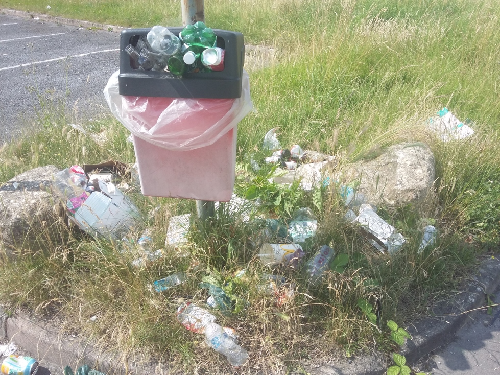 Litter overflows from a small bin into surrouding long grass