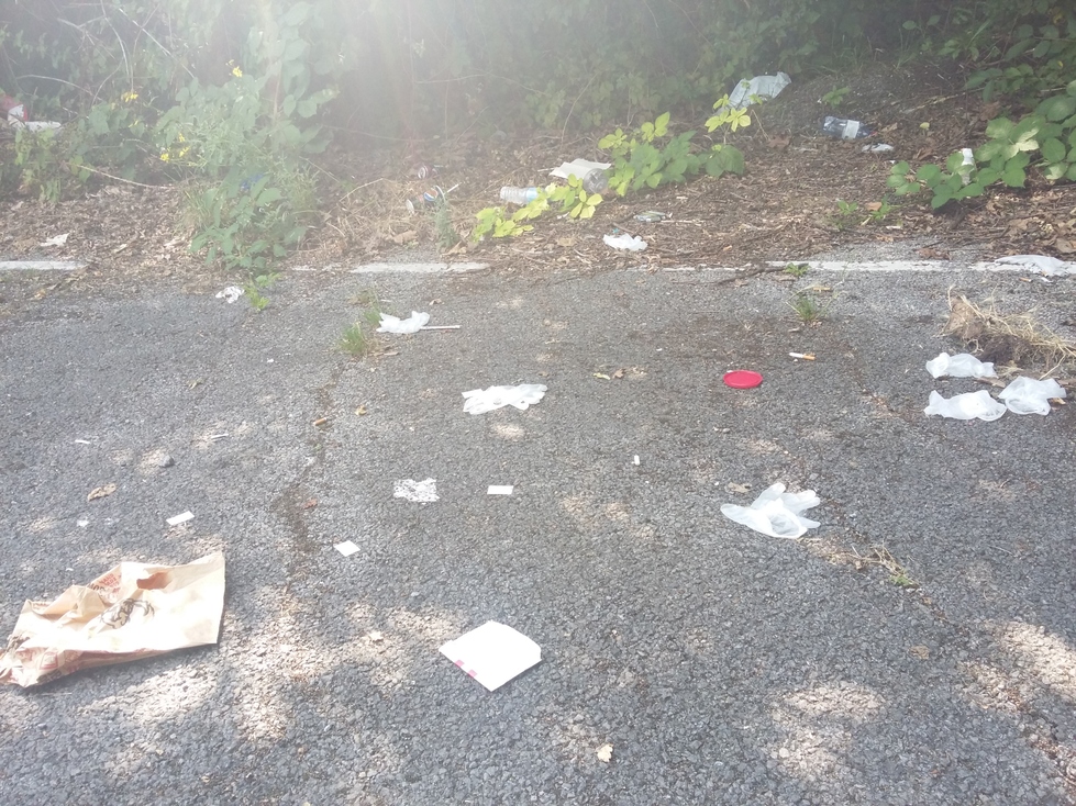 Litter scattered all over the car-park and surrounding woodland