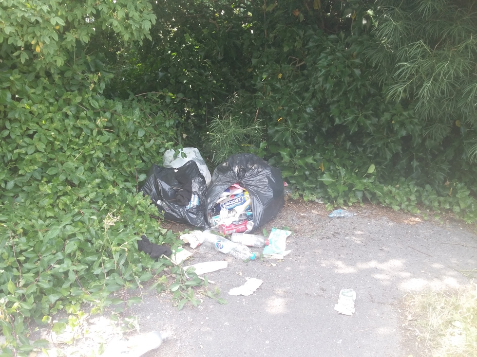 A large bag of flytipped rubbish in a bush in a corner of the car park