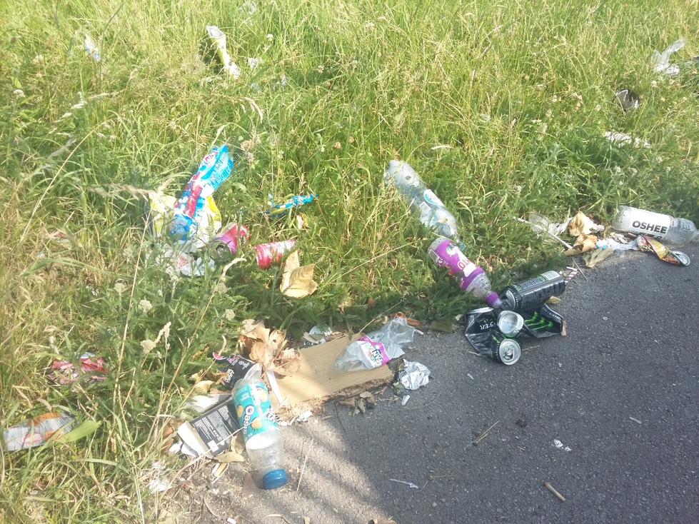 A lot of cans, and plastic and glass bottles littered on a grassy embankment