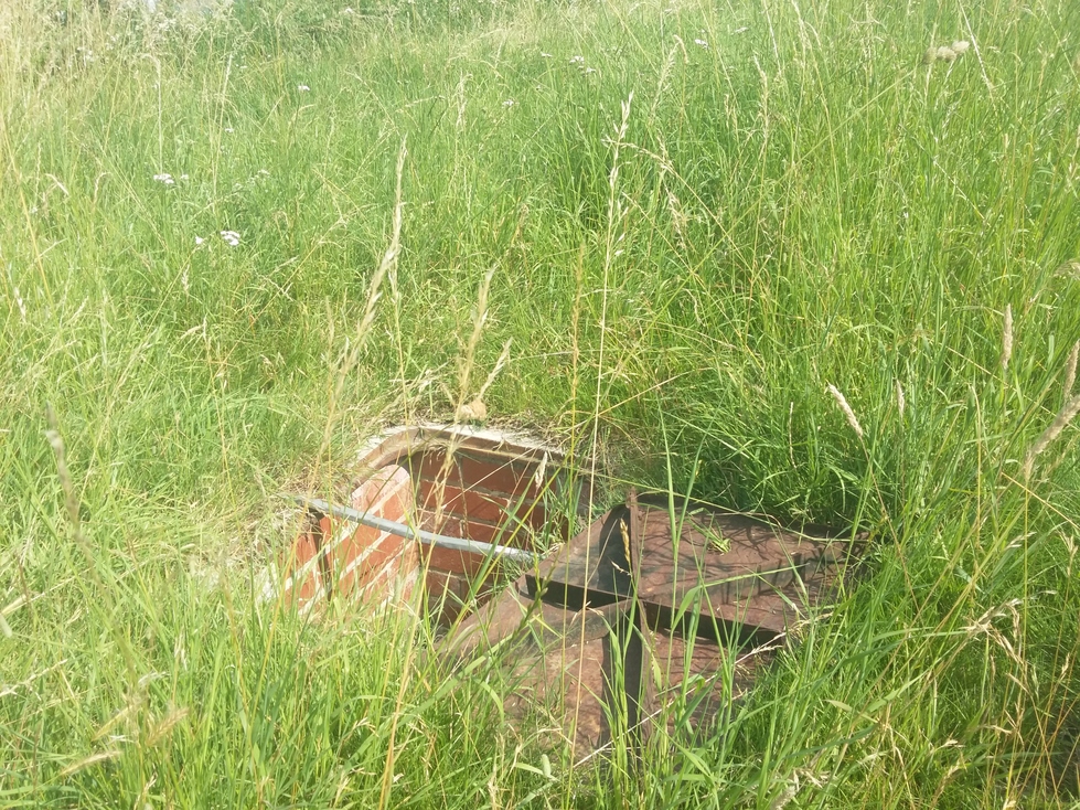Open manhole view from about 5 feet away, amidst long grass