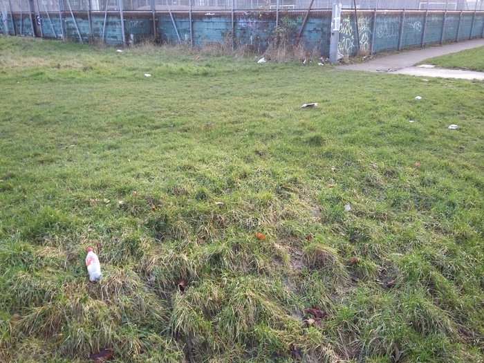 Heavy litter on an area of grass
