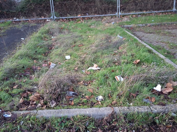 Heavy litter on grass in the car park