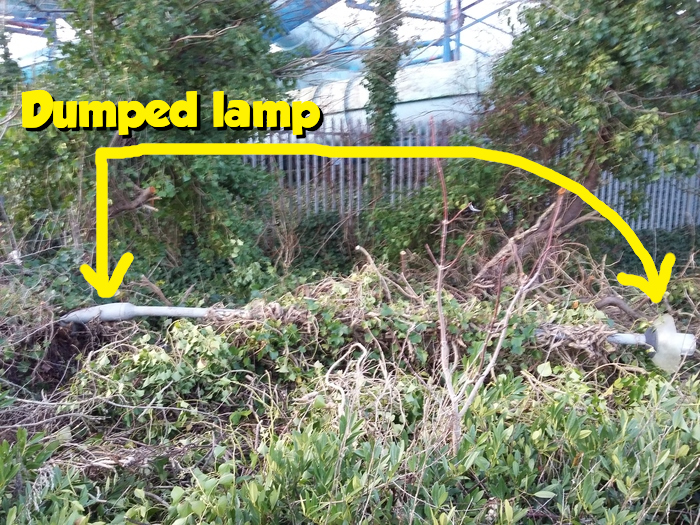 A lamp dumped in vegetation