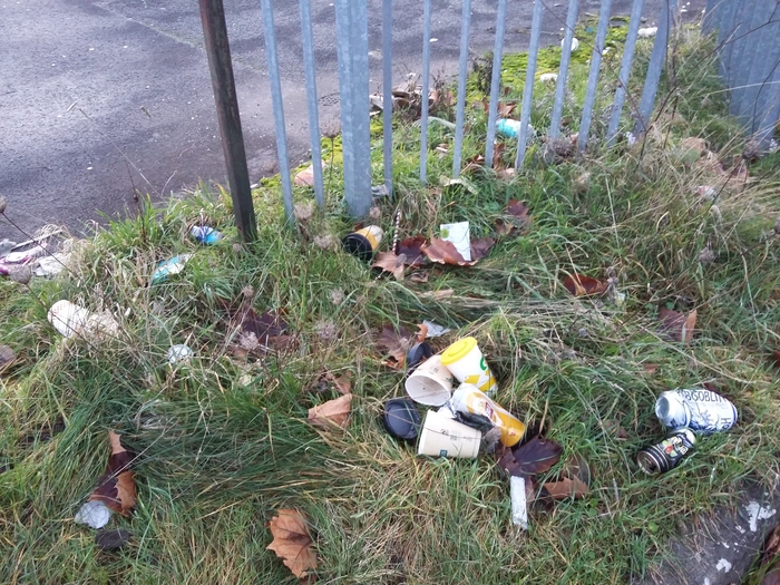 Heavy litter on the verge between the road and skate park
