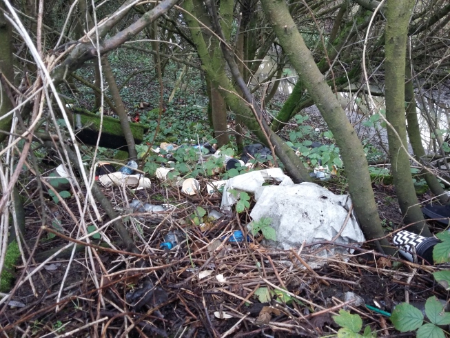 Litter and flytipping in woodland