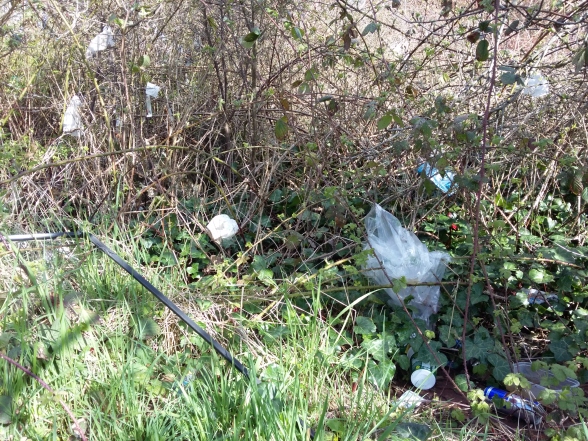 Litter caught up in brambles