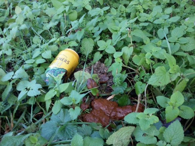 Human poo on a verge next to a can of cider
