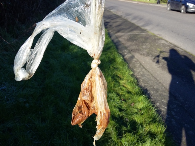 Split plastic bag with poo dripping out