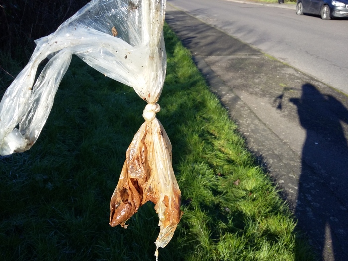 A split bag of human poo is held up with a litter picker