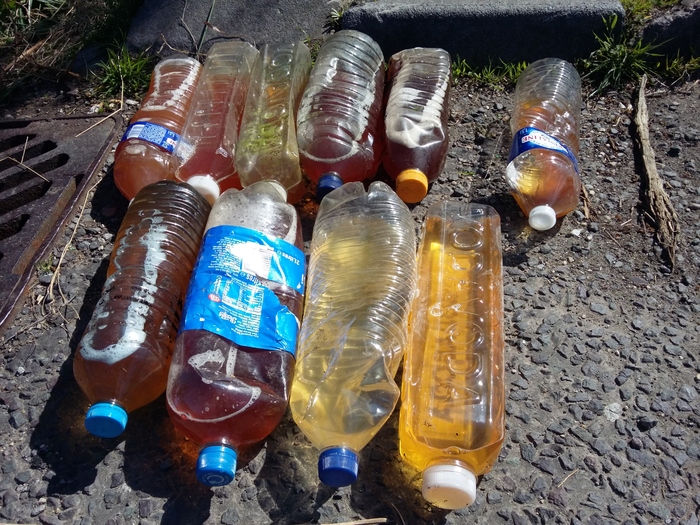 Collection of plastic bottles full of urine lined up on the road