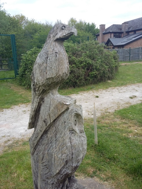 A wooden totum pole with sculpted birds
