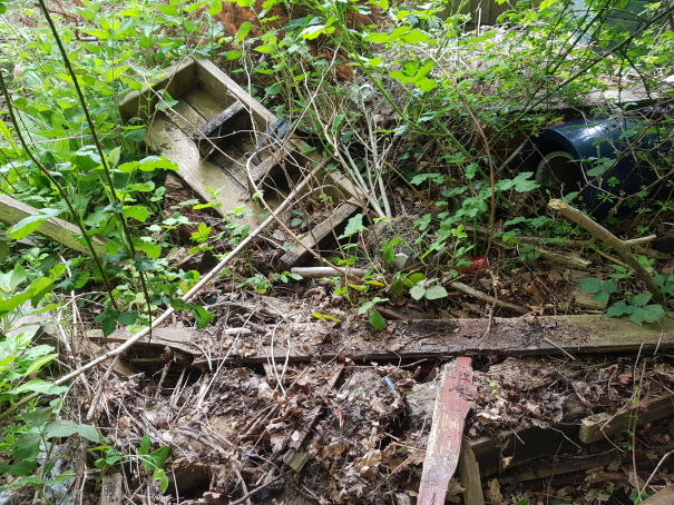 Dumped wood and a plant pot in an area of woodland