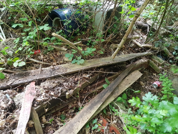 Dumped wood, a plant pot and a bin in an area of woodland