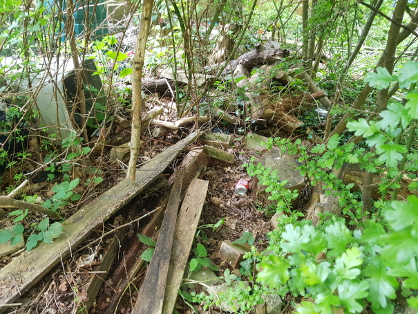 Dumped wood in an area of woodland