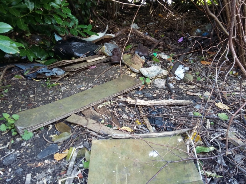All manner of rubbish dumped in woodland
