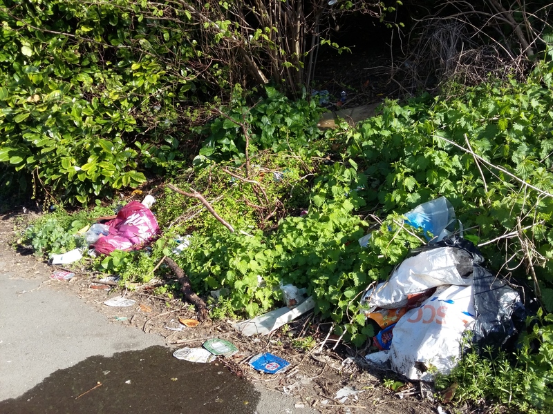 Plastic bags and other litter dumped in stinging nettles