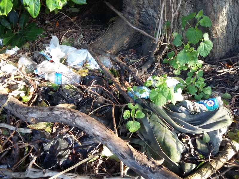 Clothes, bags and other litter in woodland